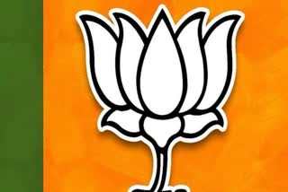 list-of-possible-bjp-candidates-in-bengaluru