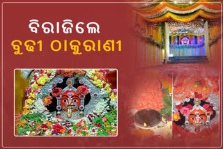 Maa Budhi Thakurani Jatra