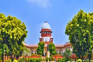 SC directs Centre to grant license  grant license to Malayalam Channel  Malayalam Channel license case  national security issues and malayalam channel  പ്രമുഖ മലയാളം ചാനലിന്‍റെ സംപ്രേഷണ വിലക്ക് നീക്കി  സുപ്രീം കോടതി  ദേശീയ സുരക്ഷ  ചീഫ് ജസ്റ്റിസ് ഡി വൈ ചന്ദ്രചൂഡ്