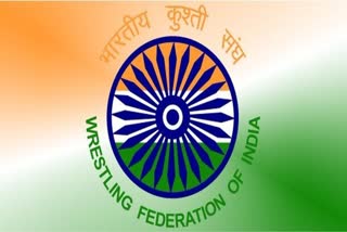 wrestling federation of india