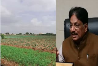 Crop Damage Survey : કમોસમી વરસાદના નુકસાનનો સર્વે પૂર્ણ, 15 જિલ્લામાં પાક નુકસાની સર્વે અને સહાય વિશે જાણો