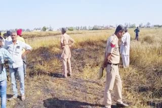 Crop fire in Kurukshetra Malik Pura Village fire due to short Circuit