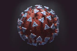 Coronavirus: ગુજરાતમાં કોરોના વાયરસના કુલ કેસનો આંક 300ને પાર