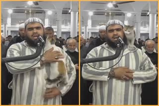 Cat jumps on Imam during Taraweeh prayers in Algeria