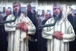 Cat joins Ramadan Prayer in Algeria  Cat joins Ramadan Prayer in Algeria  ഇമാമിന്‍റെ തോളില്‍ ചാടിക്കയറി  കവിള്‍ മുത്തം വച്ചു  തറാവീഹ് നമസ്‌കാരത്തിനിടെ കൃസൃതിക്കാട്ടി പൂച്ച  കൃസൃതിക്കാട്ടി പൂച്ച  ഹൈദരാബാദ് വാര്‍ത്തകള്‍  ഹൈദരാബാദ് പുതിയ വാര്‍ത്തകള്‍  news updates  cat  crazy cat  crazy cat in algeria