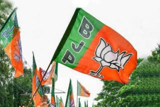 BJP Foundation Day