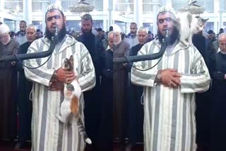 watch-cat-joins-ramadan-prayer-in-algeria