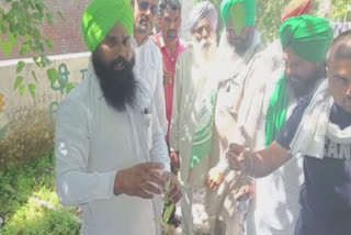 Uproar against poppy cultivation in the Chief Agriculture Office of Ludhiana