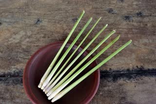 Lemongrass Benefits News