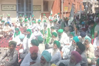 Farmers Protest in front of agriculture offices regarding crop compensation