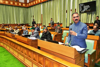 Cultivation of hemp in Himachal