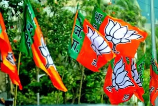 BJP Foundation Day 2023 : રાજકારણમાં નવું ઈન્ફ્રાસ્ટ્રક્ચર, ગુજરાત ભાજપ માટે બ્રાન્ડ એમ્બેસેડર સ્થાપિત