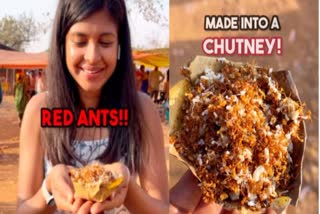 red ant chutney