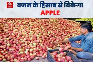 हिमाचल में वजन के हिसाब से बिकेगा सेब