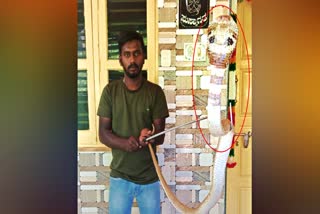 snake recused by deelip karthik