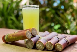 Sugarcane Juice News