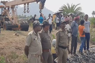 elephant killed after hit by train in angul