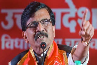 Sanjay Raut On Loksabha Election 2024