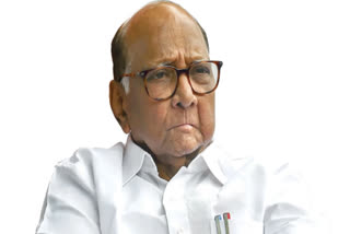 Sharad Pawar's on Hindenburg report