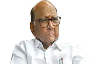 It seems targeted no need of JPC Sharad Pawar on Hindenburg report concerning Adani group