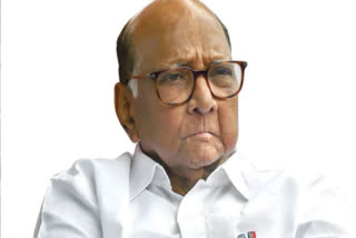 IT SEEMS TARGETED NO NEED OF JPC SHARAD PAWAR ON HINDENBURG REPORT CONCERNING ADANI GROUP