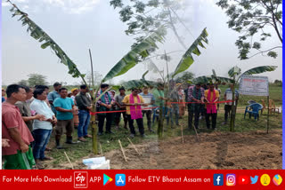 Millet sowing work begins in Biswanath