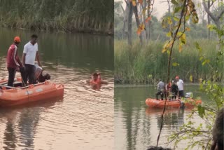 gamblers jumped into dam