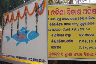 fishery and animal husbandry develop in boudh