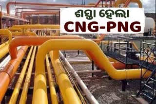 CNG And PNG Price