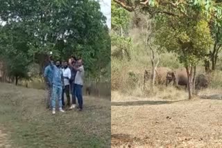 tourist-selfie-with-elephants-in-bhandipura