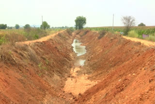 Farmers Face Problems Without Water For Crops