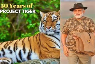 PM Modi   Bandipur tiger reserve forest Project Tiger