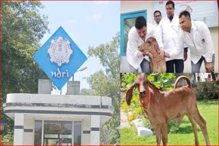 National Dairy Research Institute Karnal