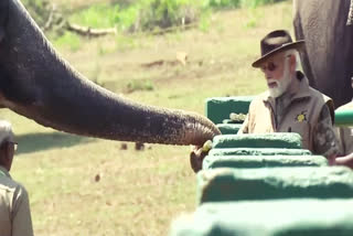 PM Modi visits elephant camp