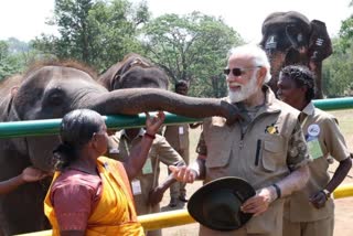 PM MODI VISITS ELEPHANT CAMP IN TAMIL NADU