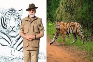 PM Modi Visits Bandipur Tiger Reserve In Karnataka