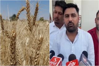 farmers Reaction on Meri Fasal Mera Byora Portal in panipat