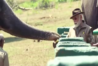PM Modi Visits Elephant Camp: તમિલનાડુમાં હાથીઓના કેમ્પ પહોંચ્યા PM મોદી