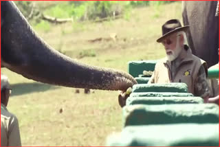 Prime Minister Narendra Modi visits elephant camp in Tamil Nadu