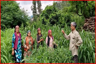 Padma Shri Nekram Sharma reached Karsog in mandi