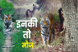 Satpura Tiger Reserve