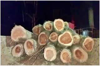 Teak pots recovered in Hojai