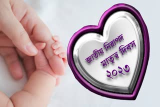 National Safe Motherhood Day 2023 News