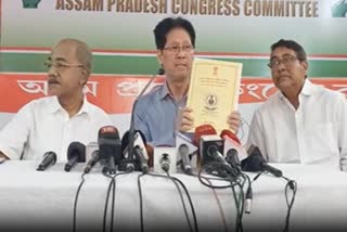 CAG report on Assam budget