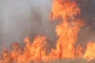morena wheat field fire due to short circuit
