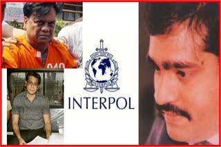 Abu Salem Santosh Shetty and Chhota Rajan