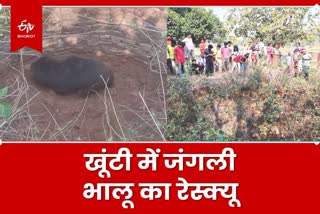 Rescue of wild bear in Khunti