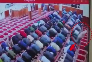 video of new jersey imam stabbed during morning prayer