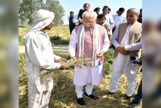 wheat procurement rules changed in Haryana