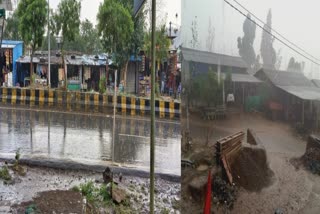 Unseasonal rain in Dang : ડાંગમાં આહવા સહિત ત્રણેય તાલુકામાં ધોધમાર વરસાદ